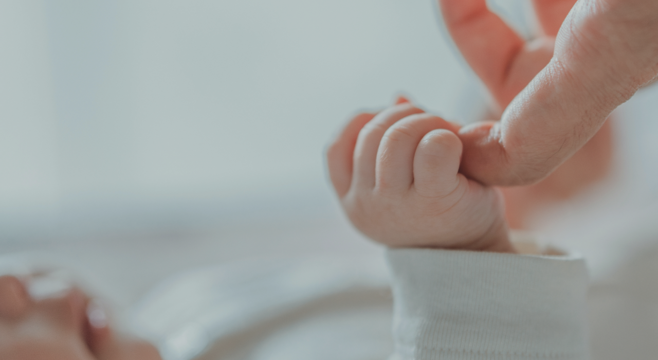 입양정보공개청구 안내